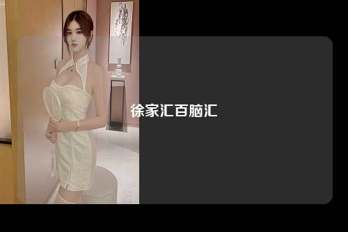 徐家汇百脑汇