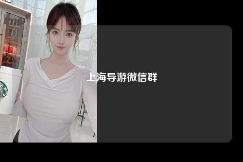 上海导游微信群