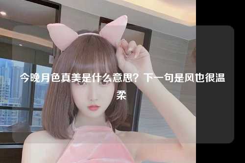 今晚月色真美是什么意思？下一句是风也很温柔 