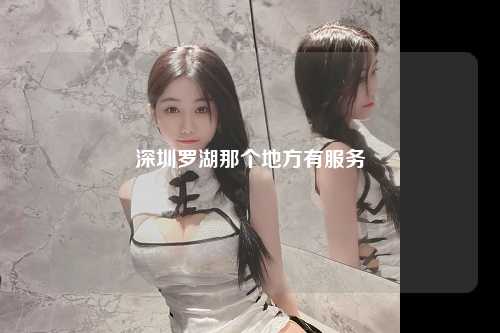 深圳罗湖那个地方有服务