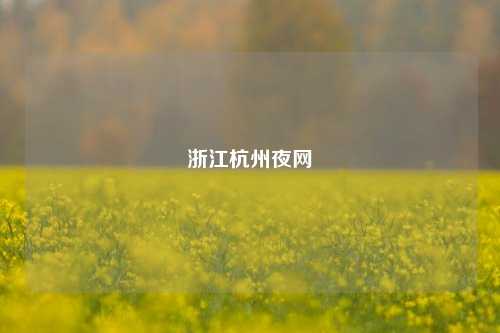 浙江杭州夜网