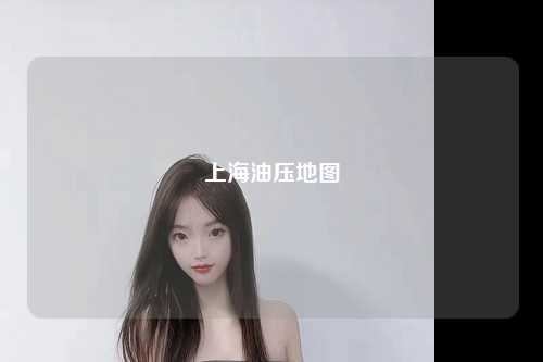 上海油压地图