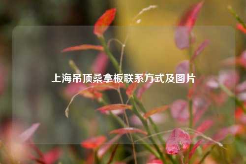 上海吊顶桑拿板联系方式及图片
