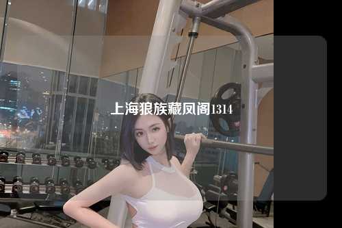 上海狼族藏凤阁1314