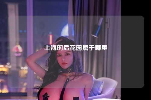 上海的后花园属于哪里