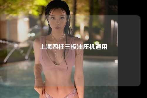 上海四柱三板油压机通用
