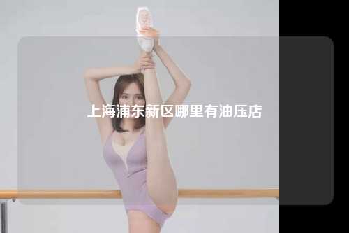 上海浦东新区哪里有油压店