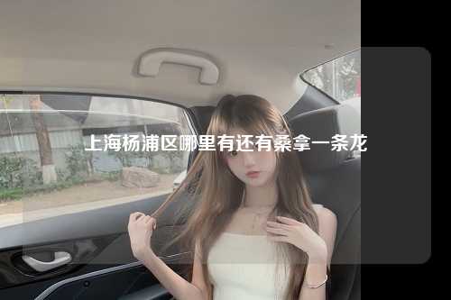 上海杨浦区哪里有还有桑拿一条龙