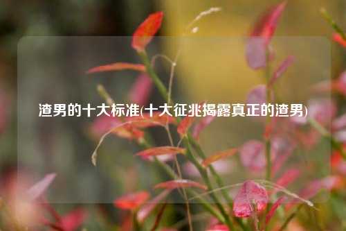 渣男的十大标准(十大征兆揭露真正的渣男)