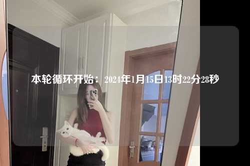 本轮循环开始：2024年1月15日13时22分28秒