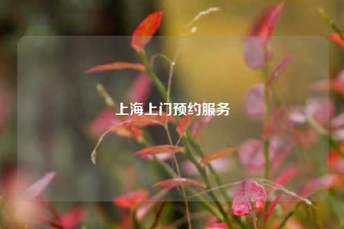 上海上门预约服务