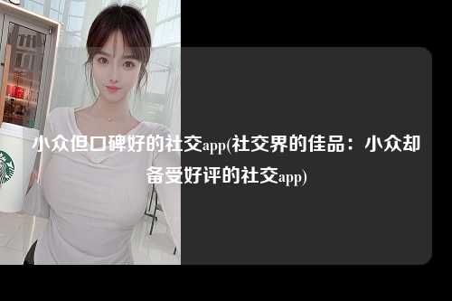 小众但口碑好的社交app(社交界的佳品：小众却备受好评的社交app)