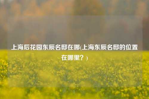 上海后花园东辰名邸在哪(上海东辰名邸的位置在哪里？)