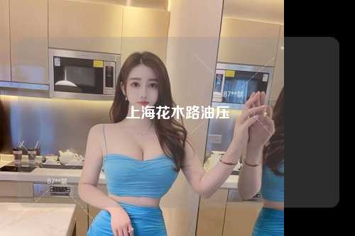 上海花木路油压