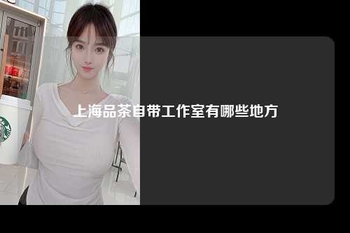 上海品茶自带工作室有哪些地方